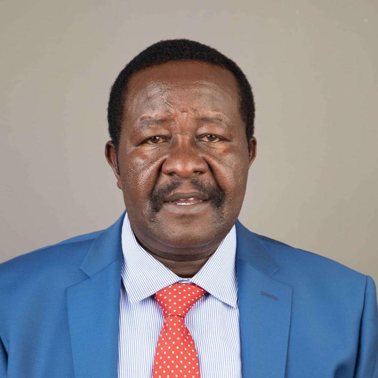 Portrait of Mwafrika Augustine Kamande