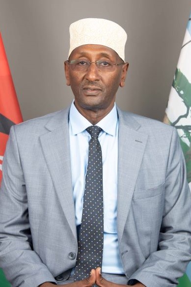 Portrait of Mohamed Said Chute