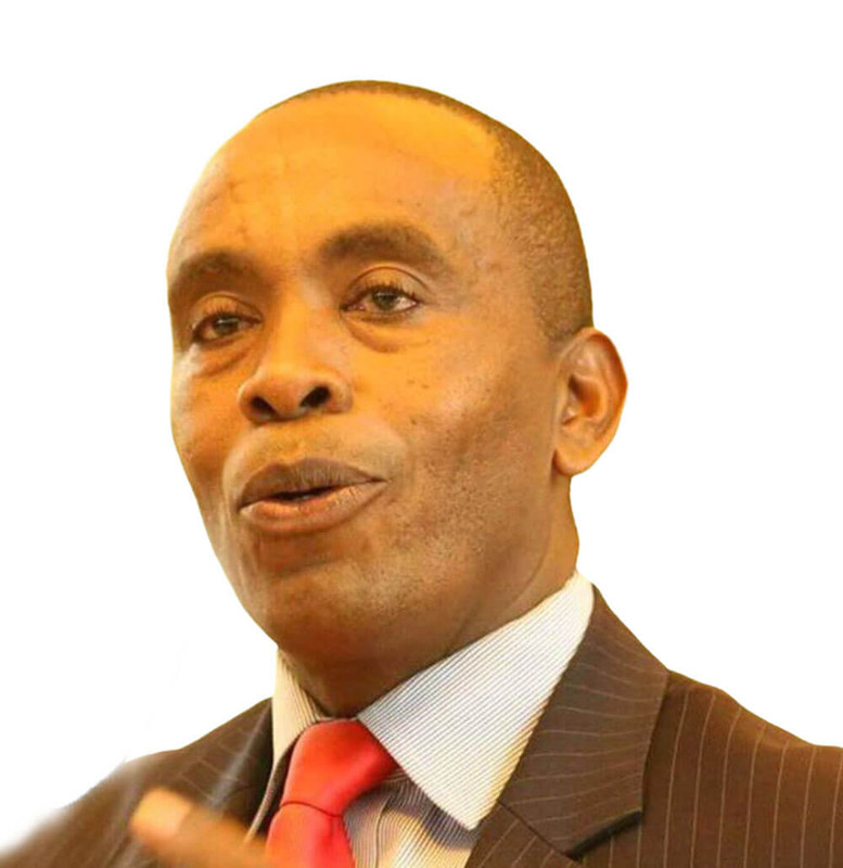 Portrait of Paul Kimani Wamatangi