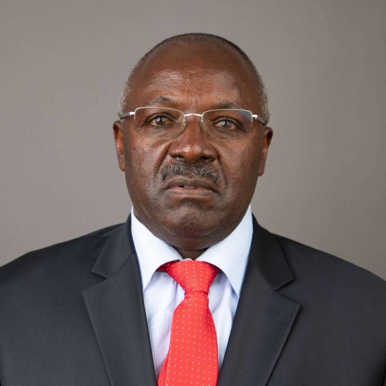 Portrait of Wainaina, Michael Wambugu